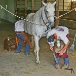 Teamwork (Dale and Jared Working on JOJO)